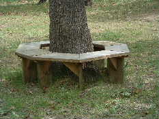 tree bench
